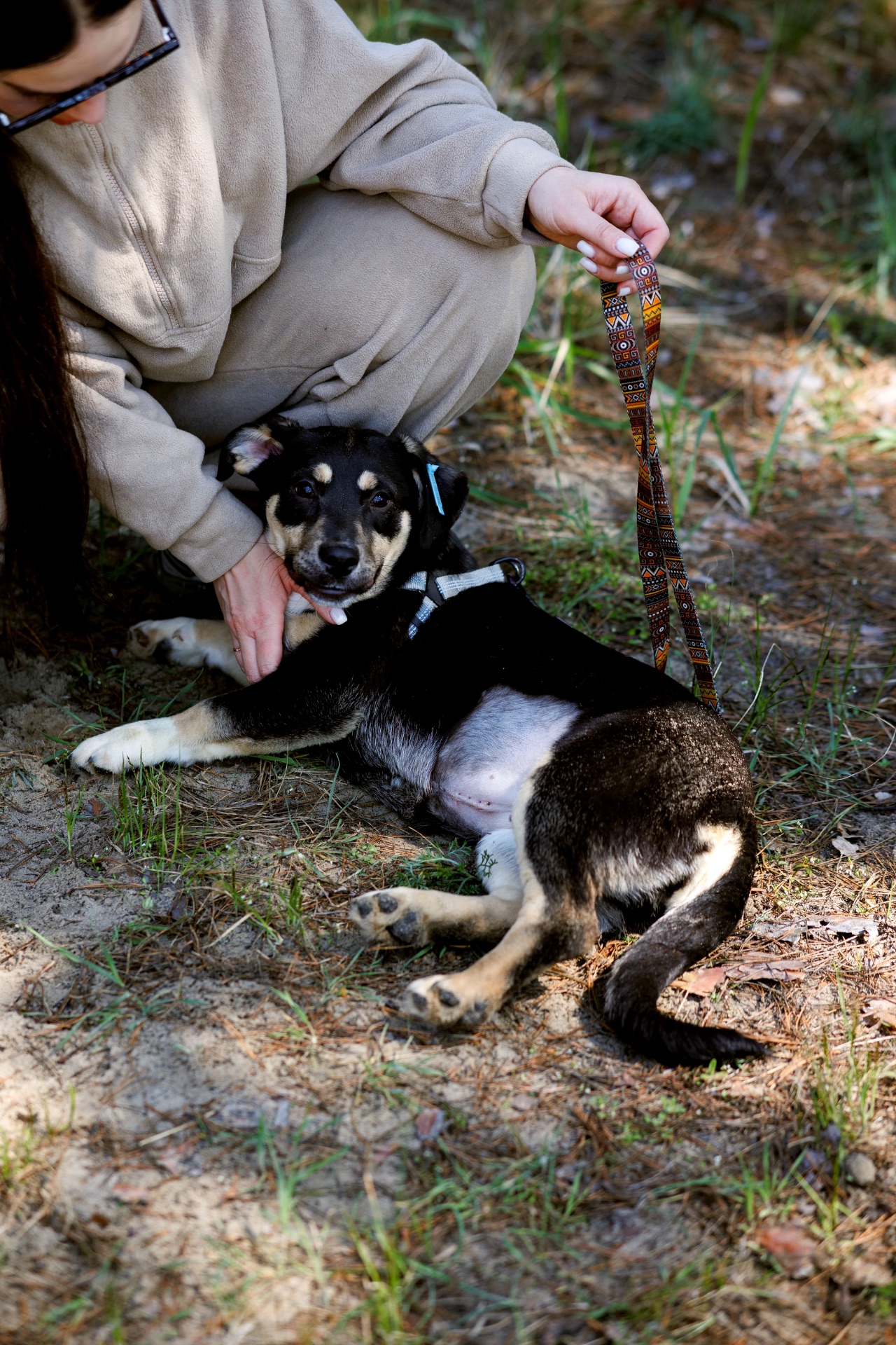 цуценя Тася