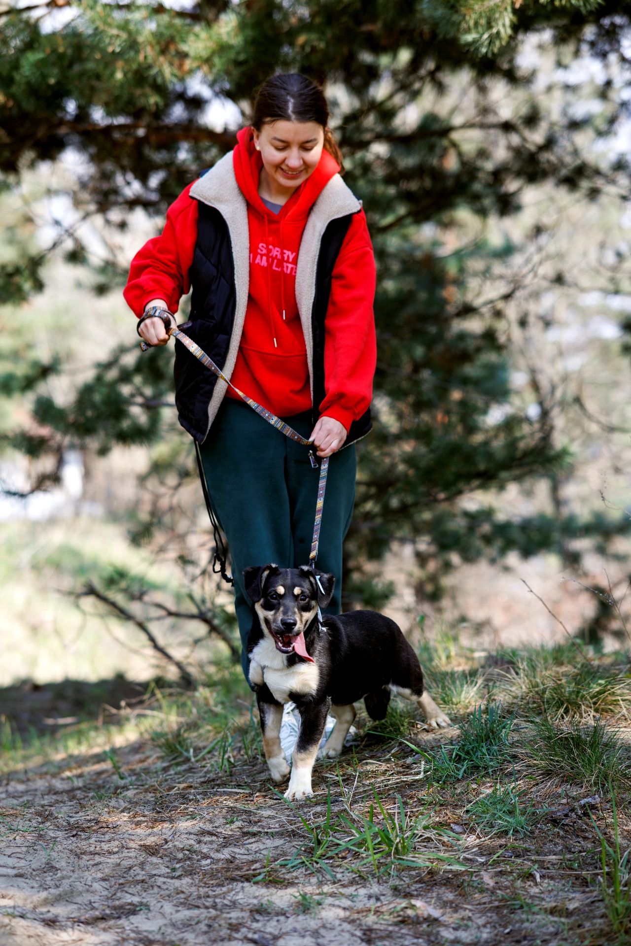 цуценя Тася