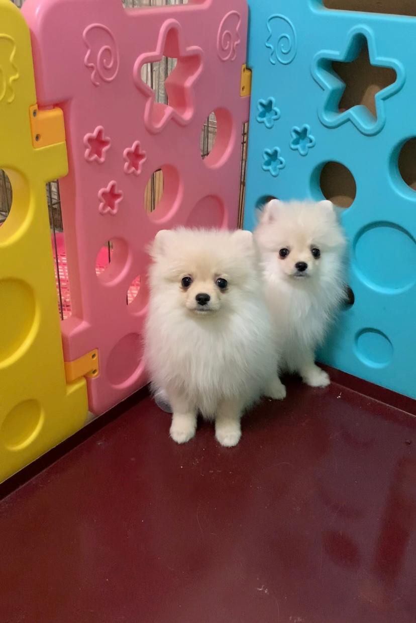 Чудова дівчинка