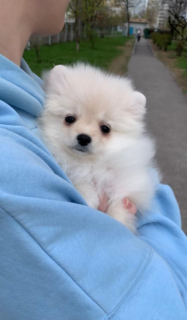 Чудова дівчинка