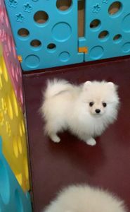 Чудова дівчинка