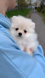 Очаровательные девочки