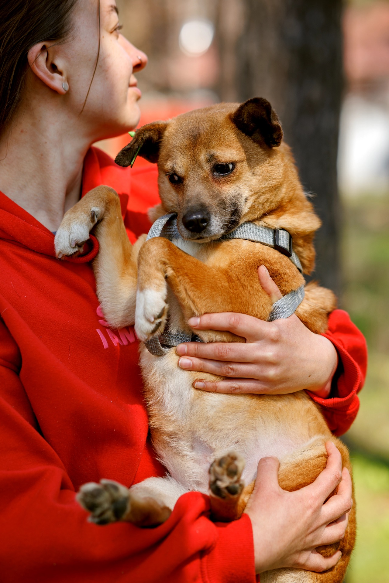 Мініатюрна Булочка шукає родину