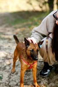 Маліна шукає родину