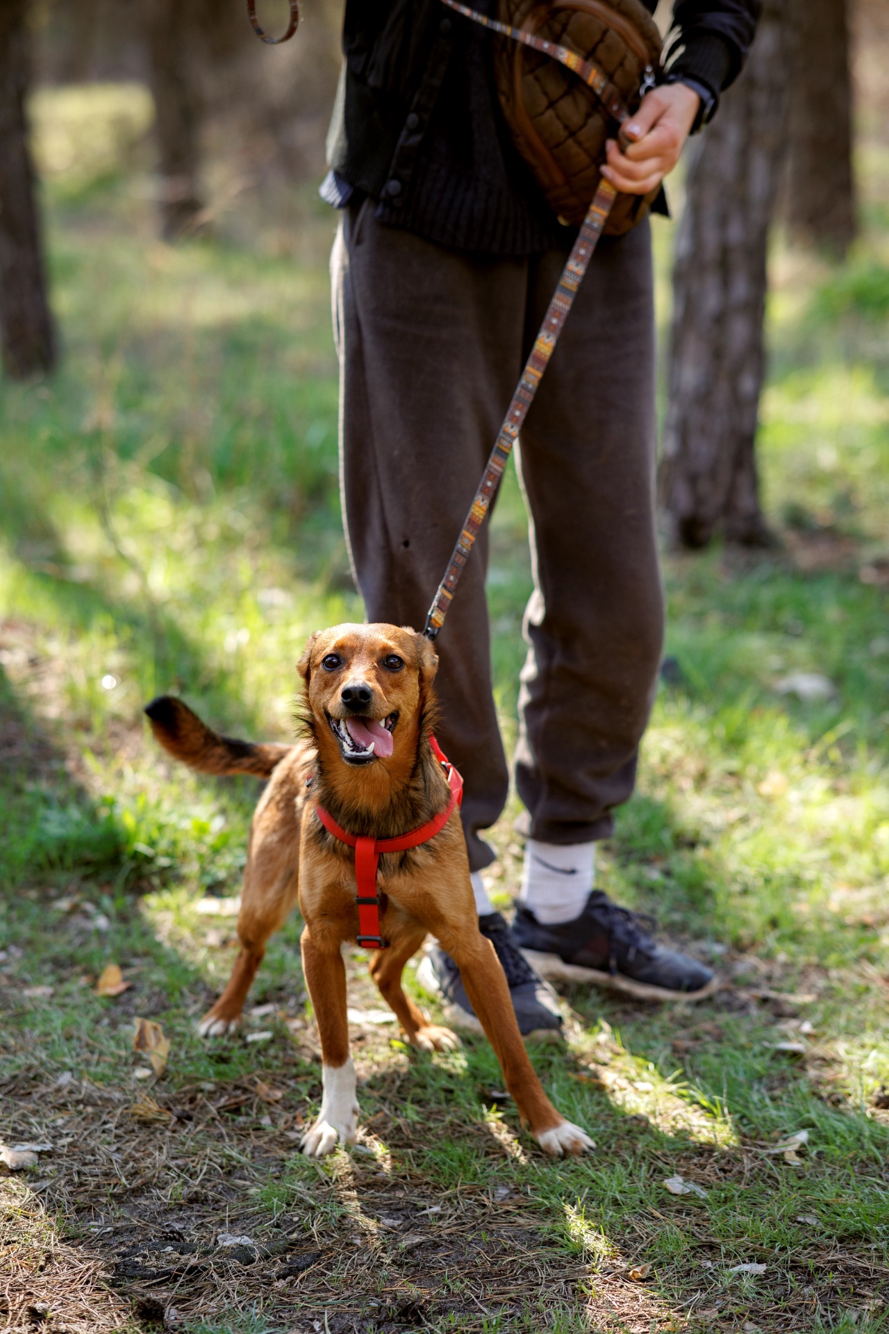 Оскар в пошуку родини