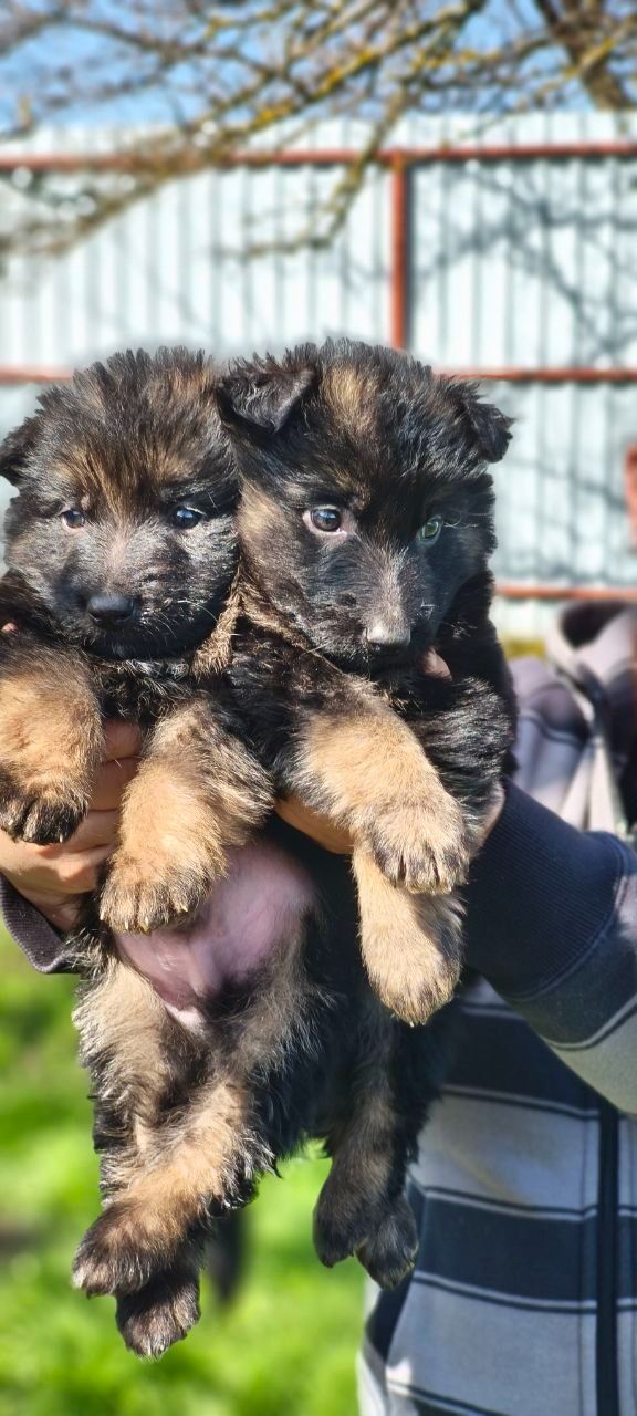 Инна Рябинина