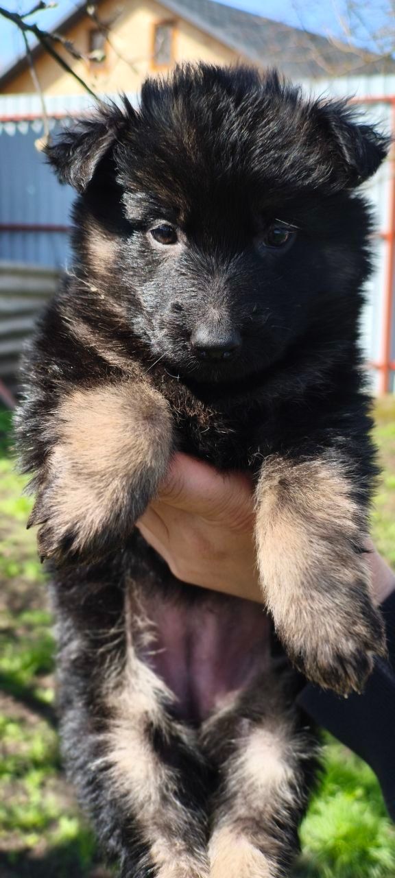 Инна Рябинина