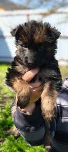 Инна Рябинина