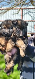 Инна Рябинина