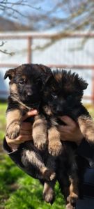 Инна Рябинина