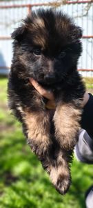 Инна Рябинина