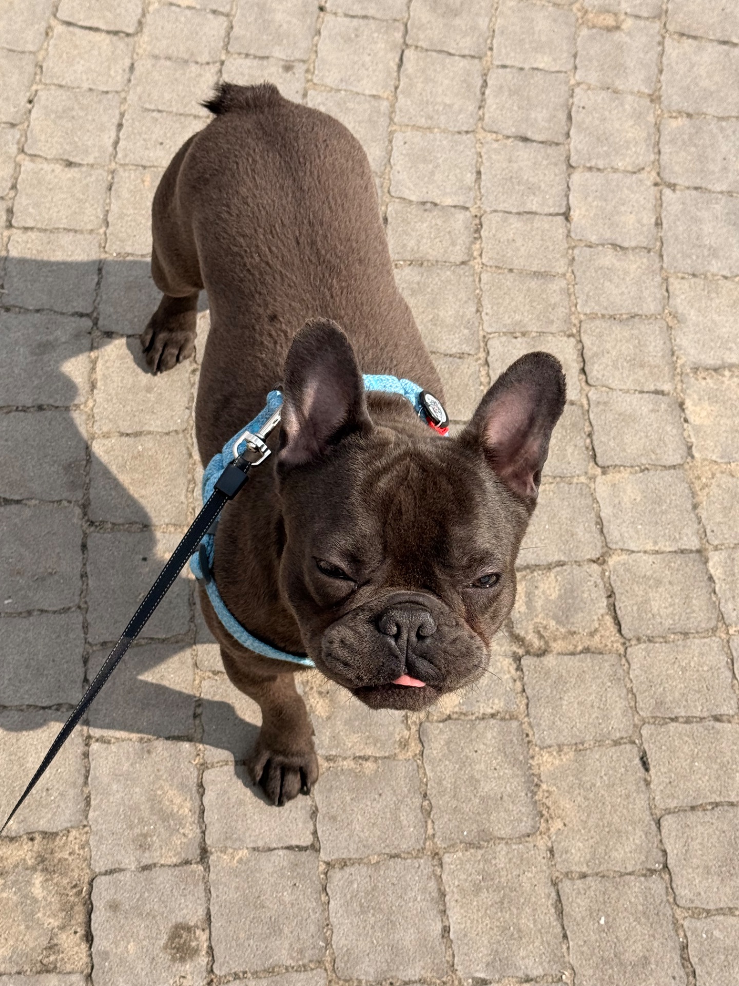 Хлопчик Стіч