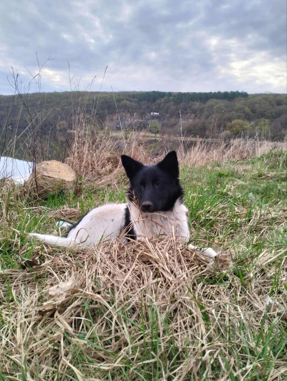 Дівчинка 6 місяців
