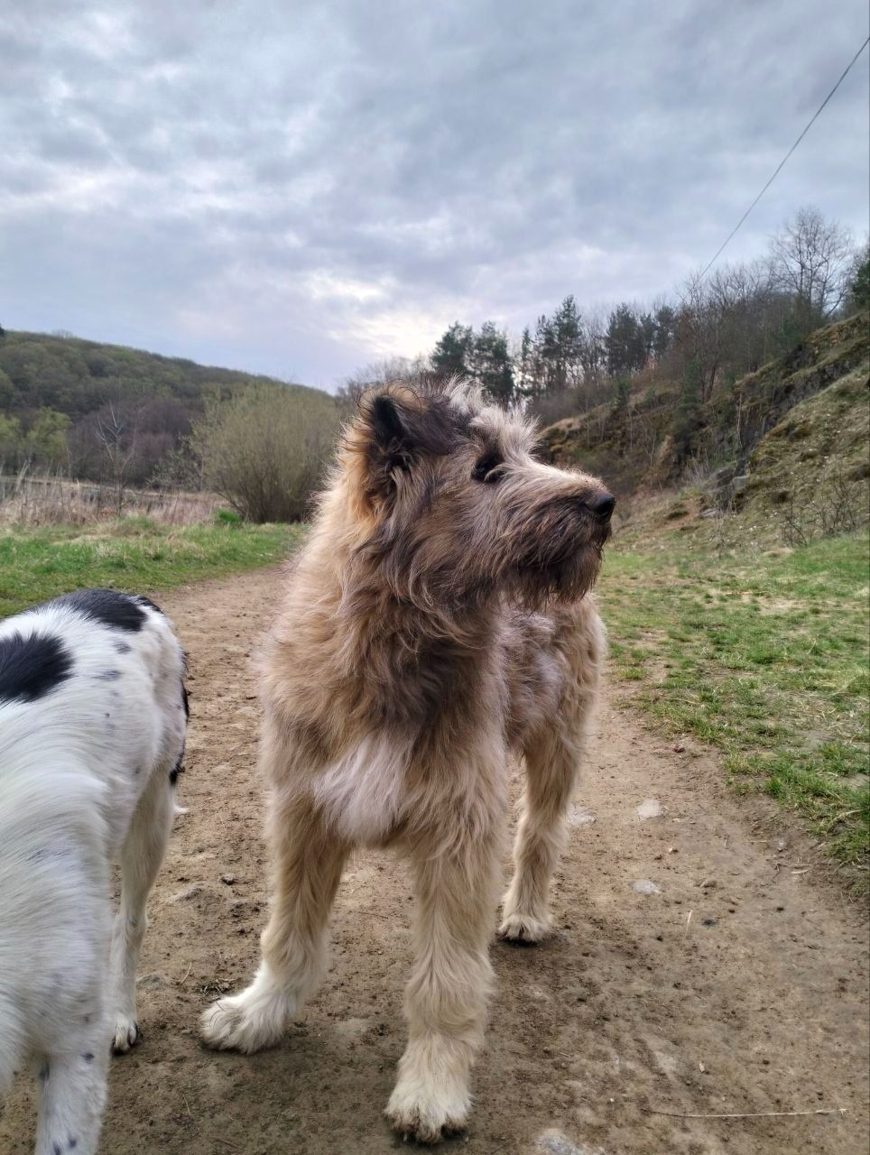 Хлопчик 6 місяців