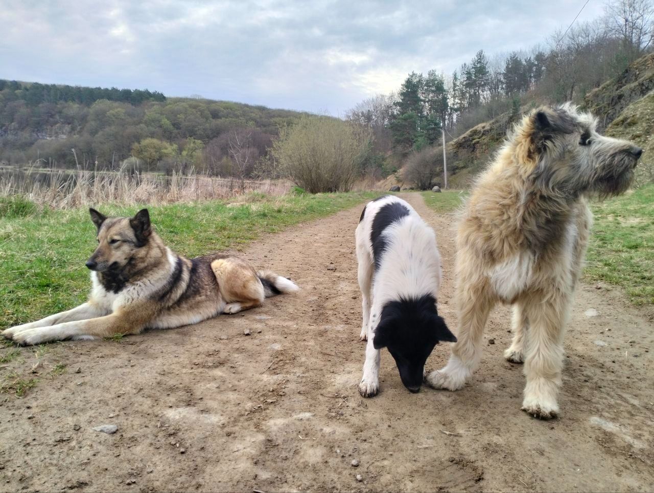 Хлопчик 6 місяців