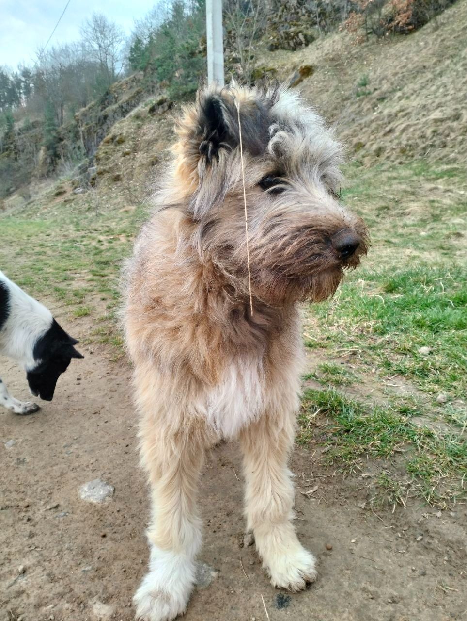 Хлопчик 6 місяців