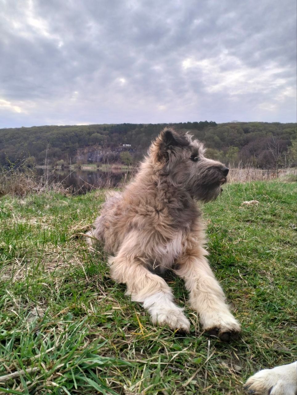 Хлопчик 6 місяців