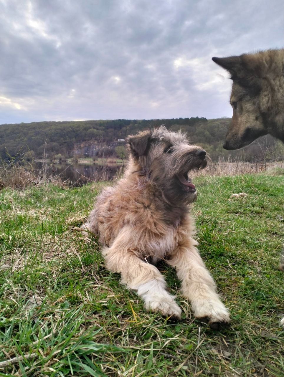 Хлопчик 6 місяців