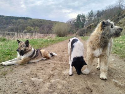 Хлопчик 6 місяців