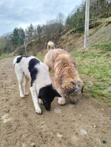 Дівчинка 6 місяців