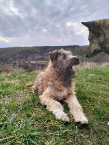 Хлопчик 6 місяців