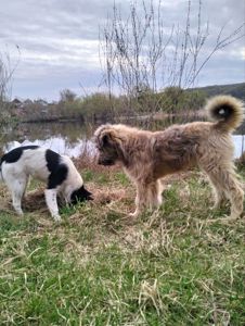 Хлопчик 6 місяців