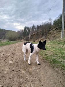 Дівчинка 6 місяців