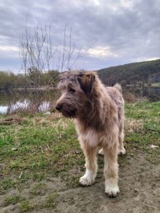 Хлопчик 6 місяців