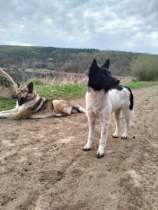 Дівчинка 6 місяців