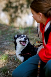 Собачка Катя