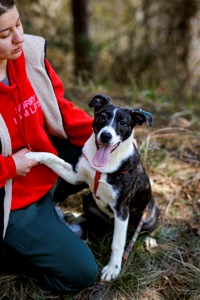 Цуценятко Зоряна