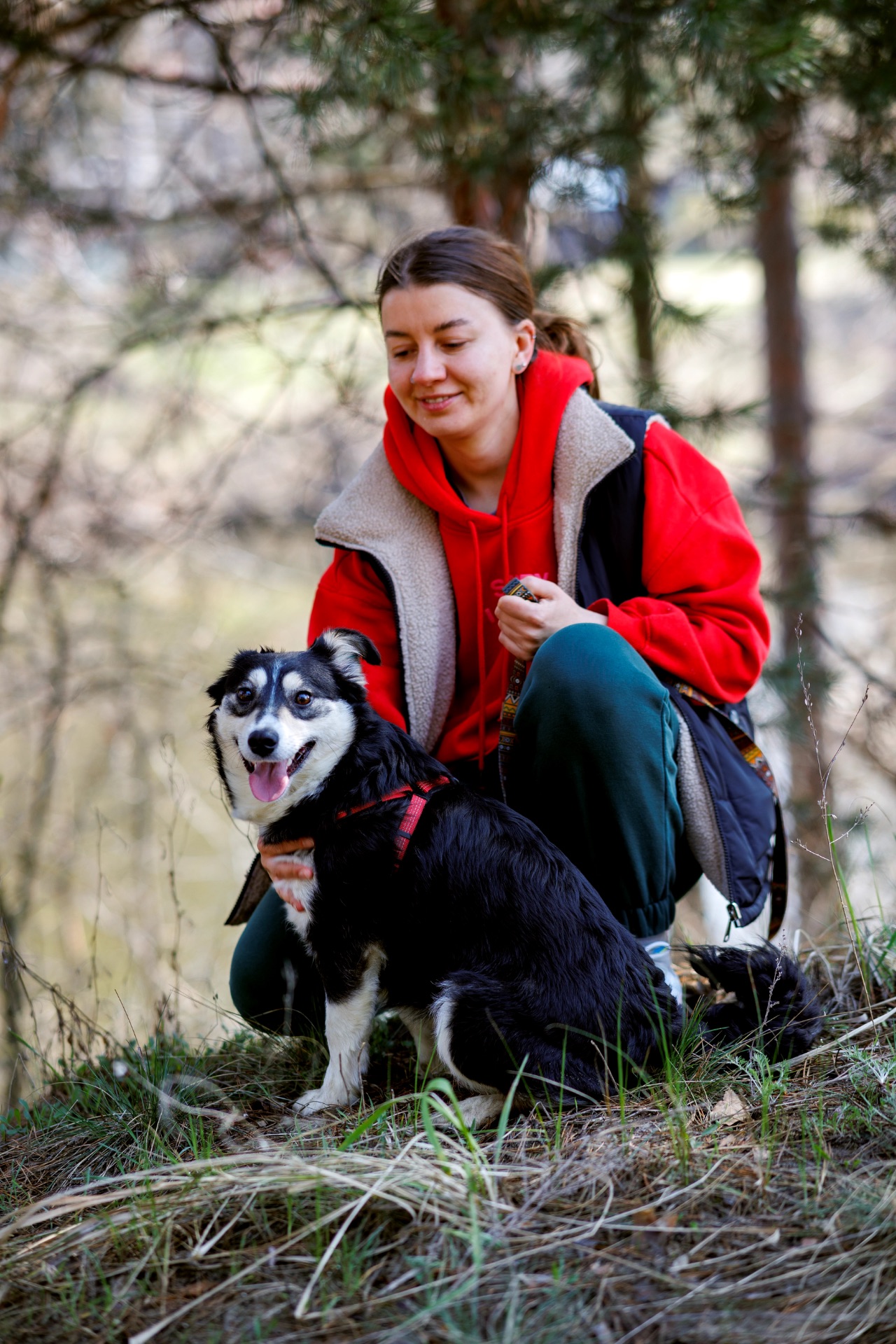 Собачка Катя