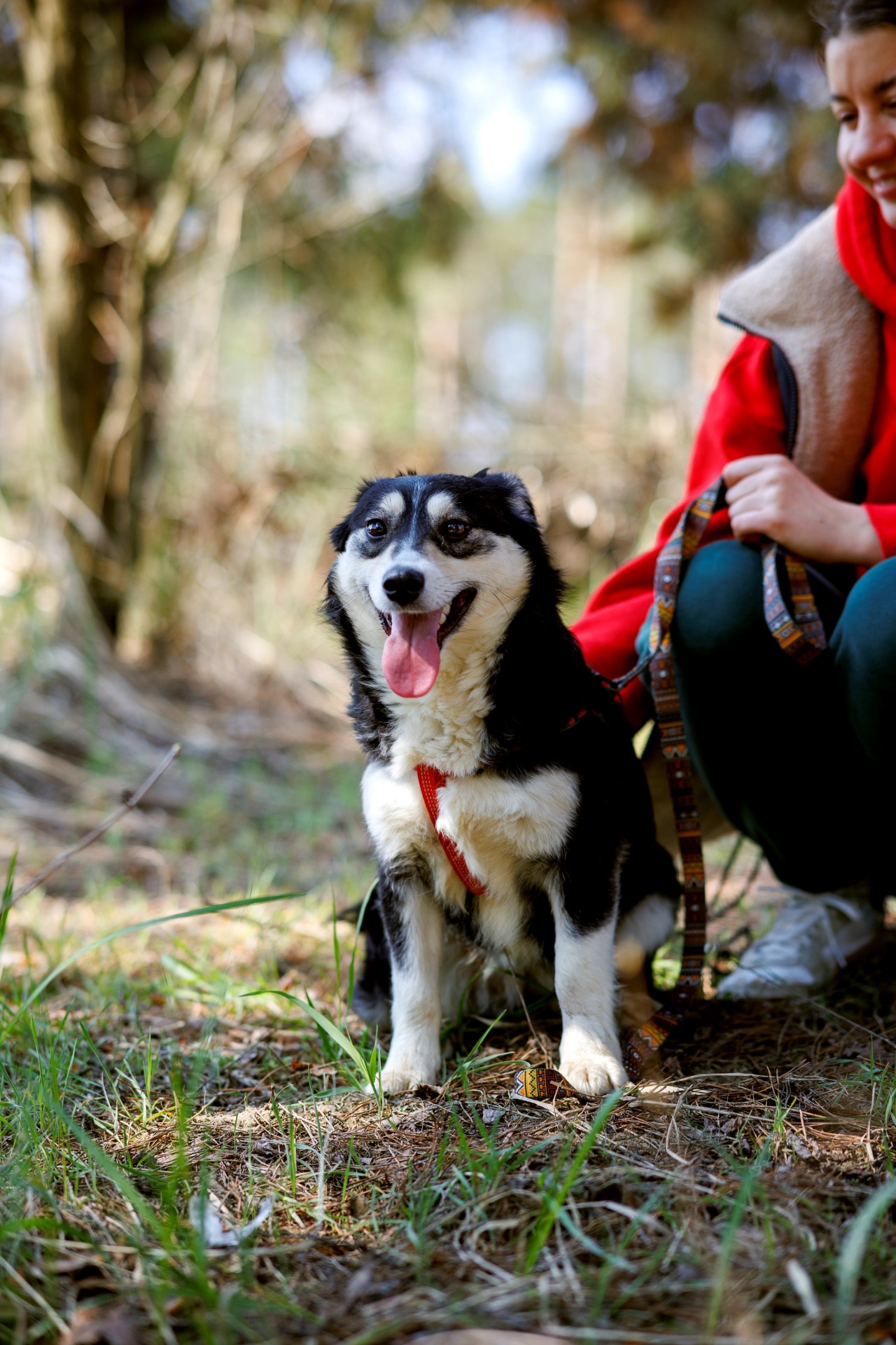 Собачка Катя