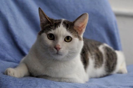 Кошеня Саша