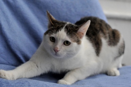 Кошеня Саша