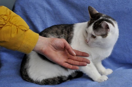 Кошеня Саша