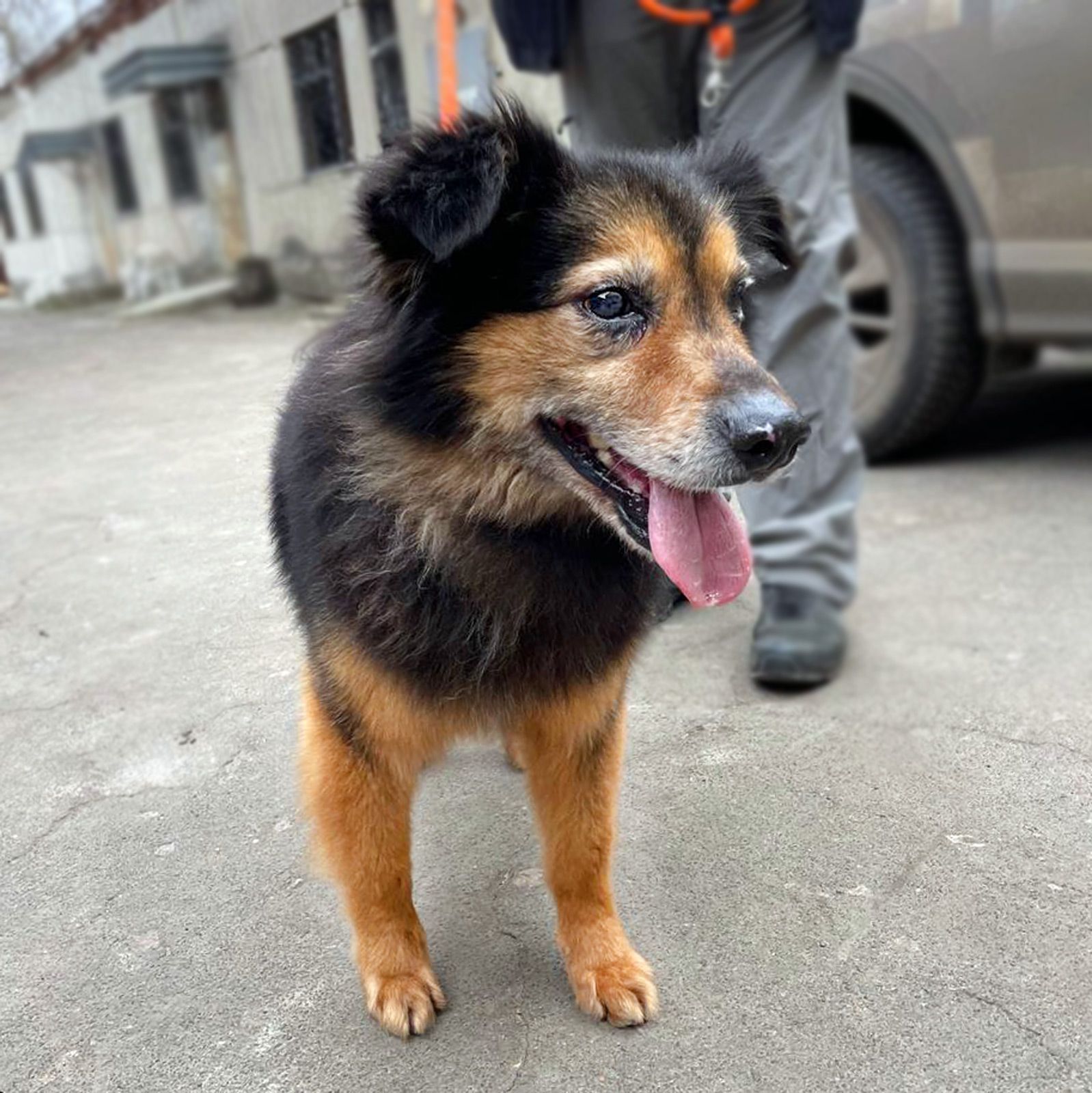 хворий Куссель шукає родину