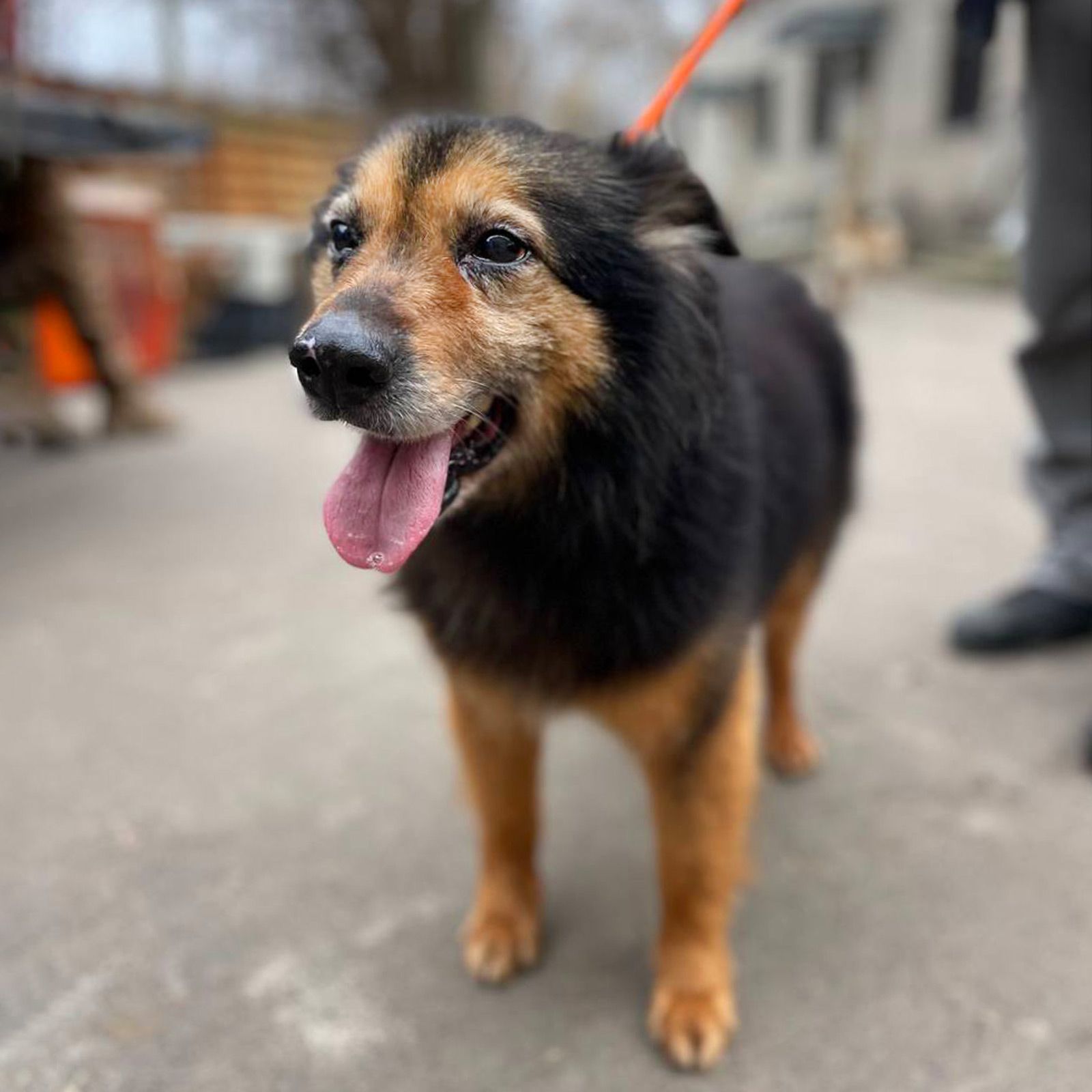 хворий Куссель шукає родину