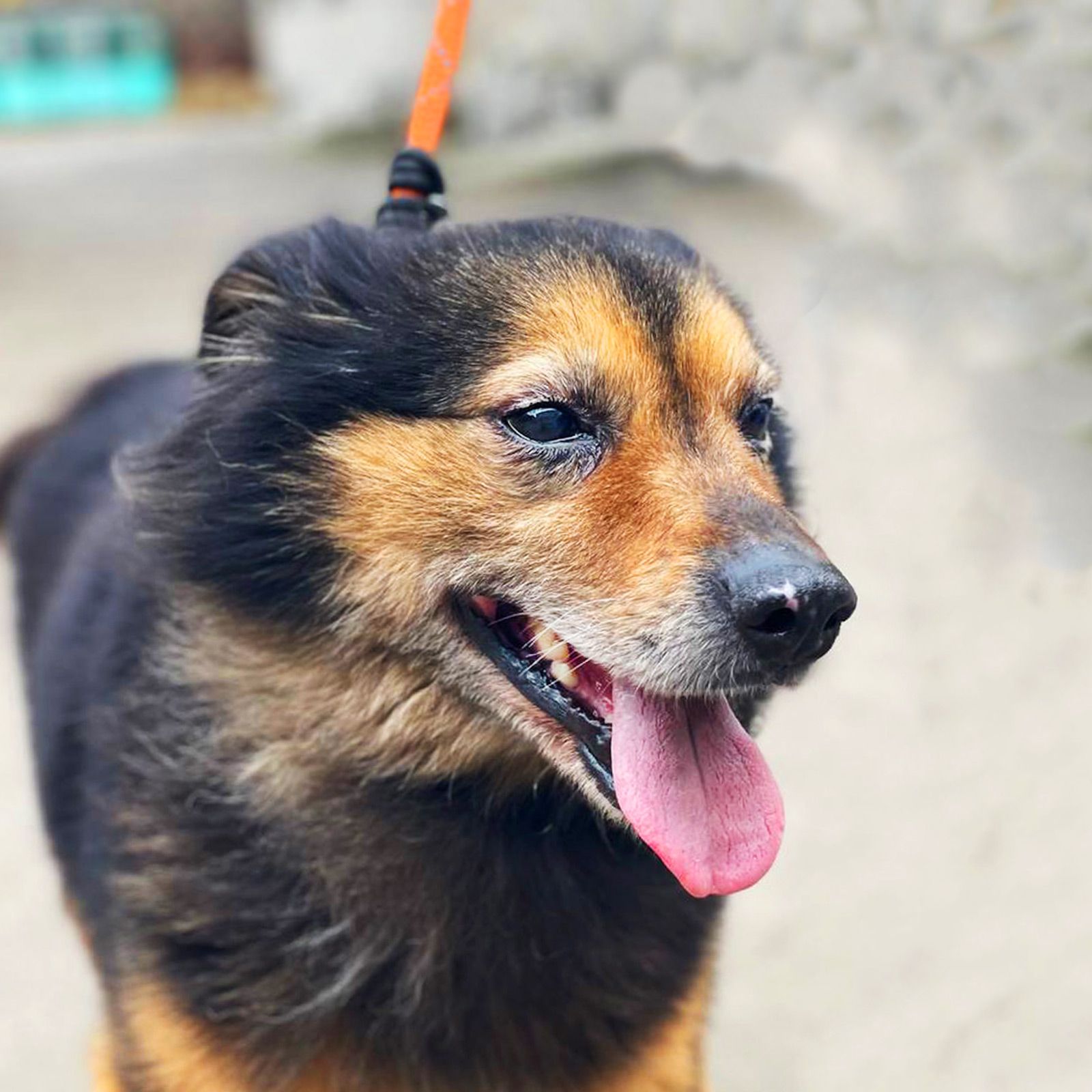 хворий Куссель шукає родину