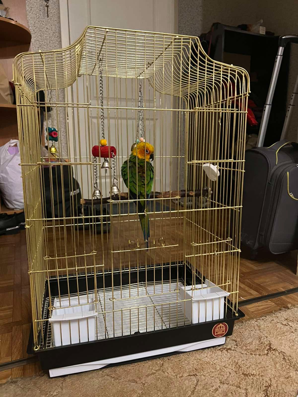 Продам сонячну аратінгу хлопчика!