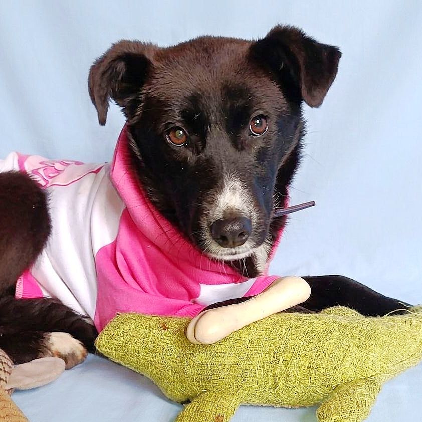 маленька Шанті