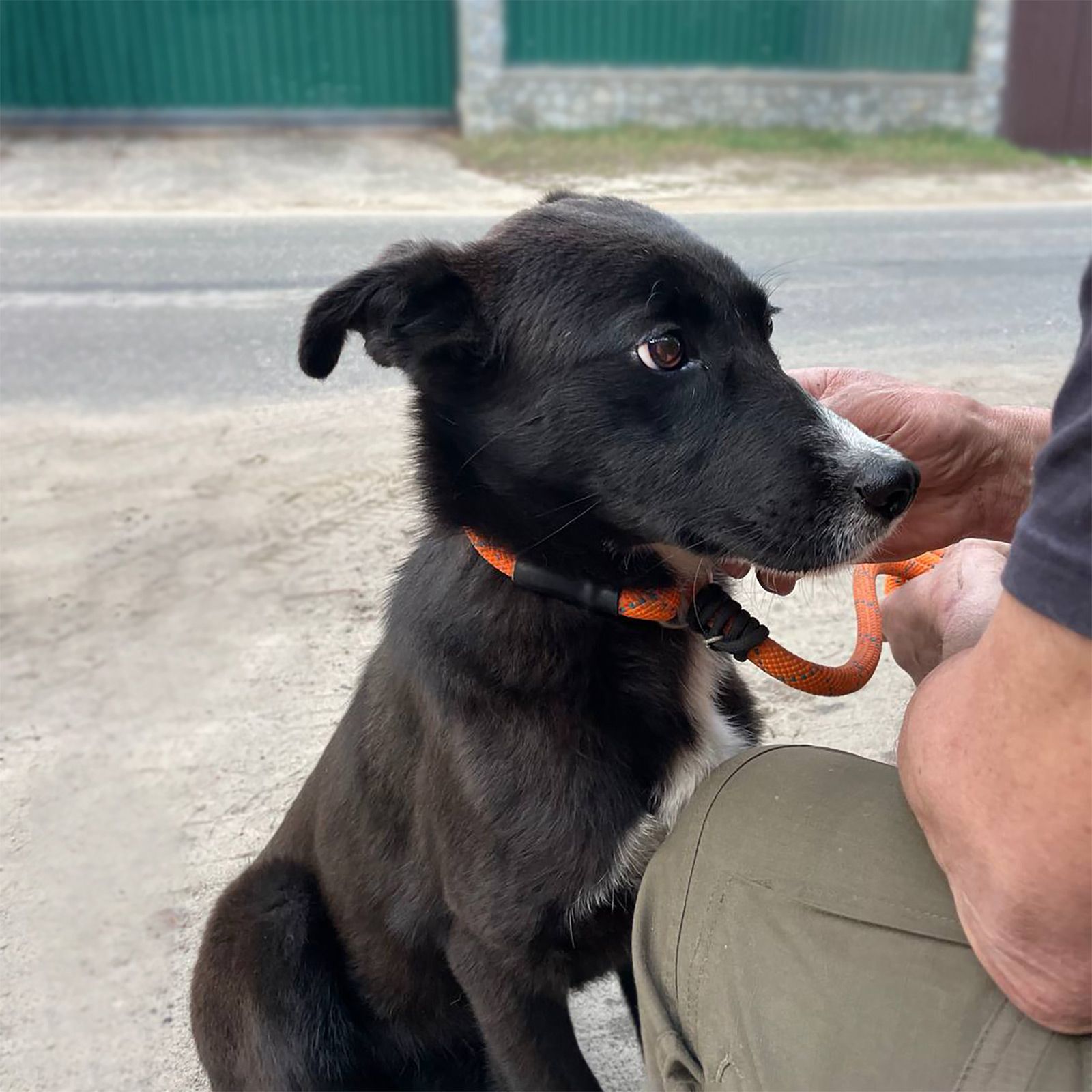 маленька Шанті