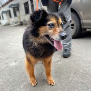 хворий Куссель шукає родину