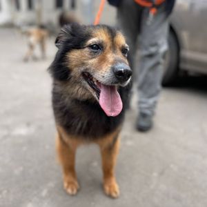 хворий Куссель шукає родину