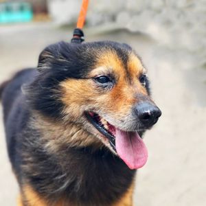 хворий Куссель шукає родину