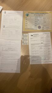 Продам сонячну аратінгу хлопчика!