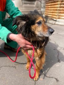 хворий Куссель шукає родину