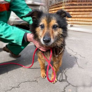 хворий Куссель шукає родину