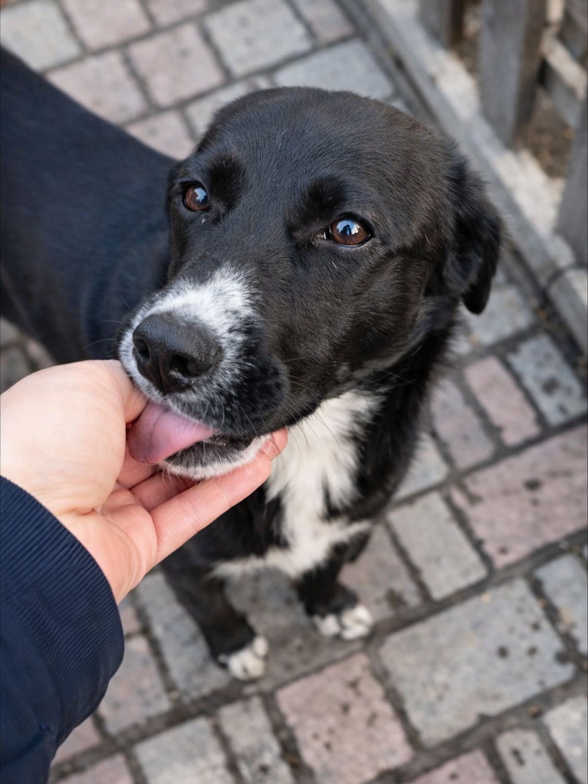 маленька Шанті