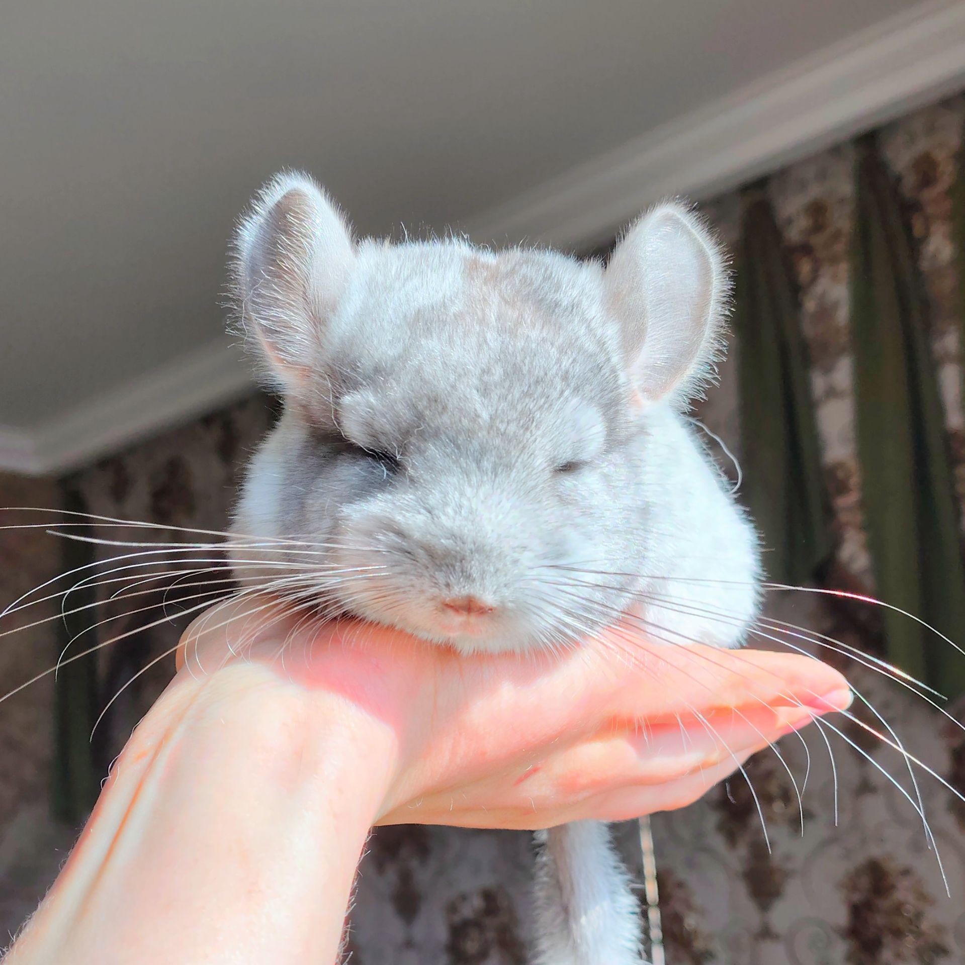 Ручний милий хлопчик 🩵